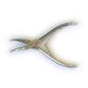 Fish Bone Pliers (Curved)