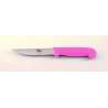 4" Veg Knife Serrated