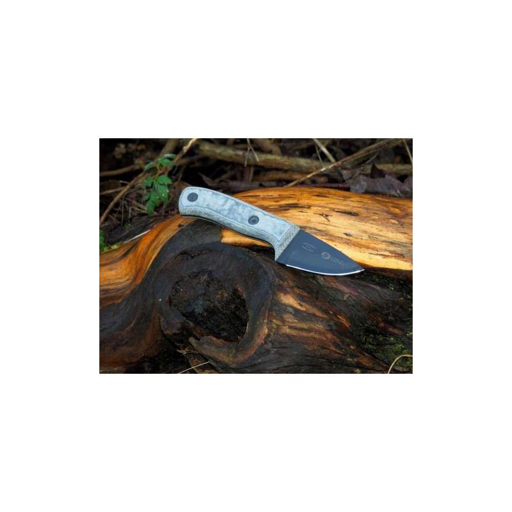 Parry Imp Samuel Staniforth Ltd