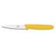 3.5" Paring Knife